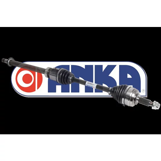 Renault CAPTUR 391005153R 391001279R Aks Komple ANKA
