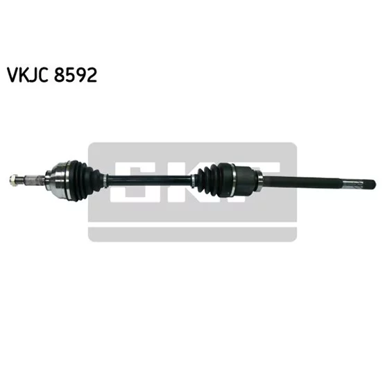 Dacia LOGAN 6001548102 Aks Komple CIFAM